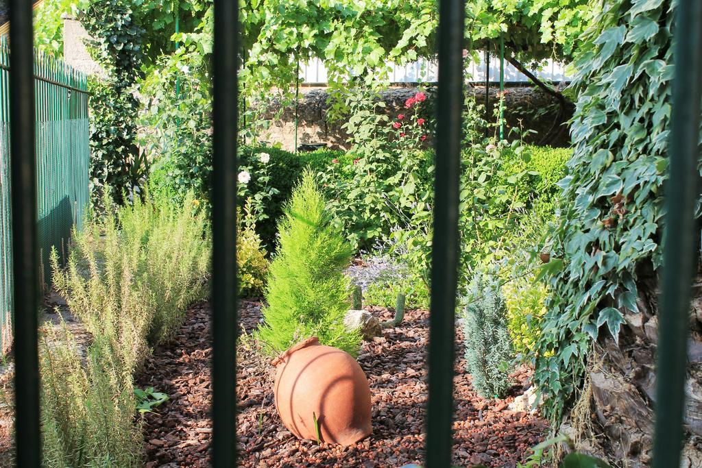 דירות באניוס דה מונטמאיור Casa Jardin De La Plata מראה חיצוני תמונה
