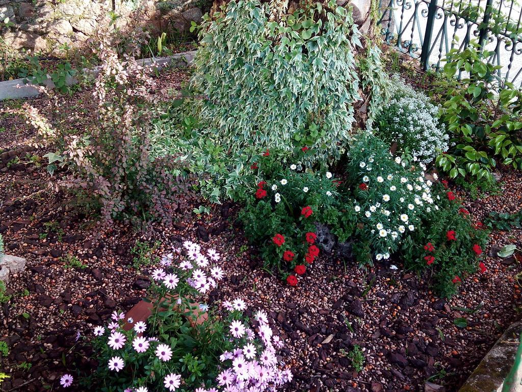 דירות באניוס דה מונטמאיור Casa Jardin De La Plata מראה חיצוני תמונה