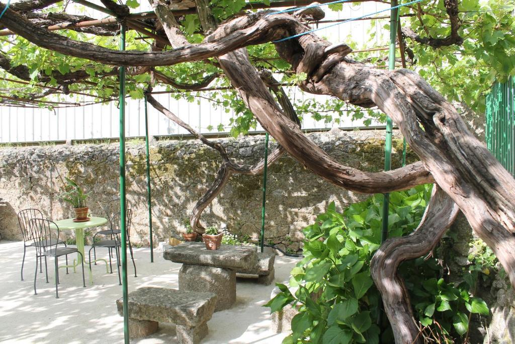 דירות באניוס דה מונטמאיור Casa Jardin De La Plata מראה חיצוני תמונה