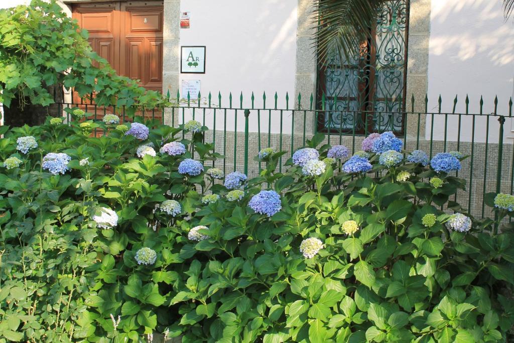 דירות באניוס דה מונטמאיור Casa Jardin De La Plata מראה חיצוני תמונה